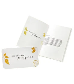 May You Know Joy Card Set Blue/Green