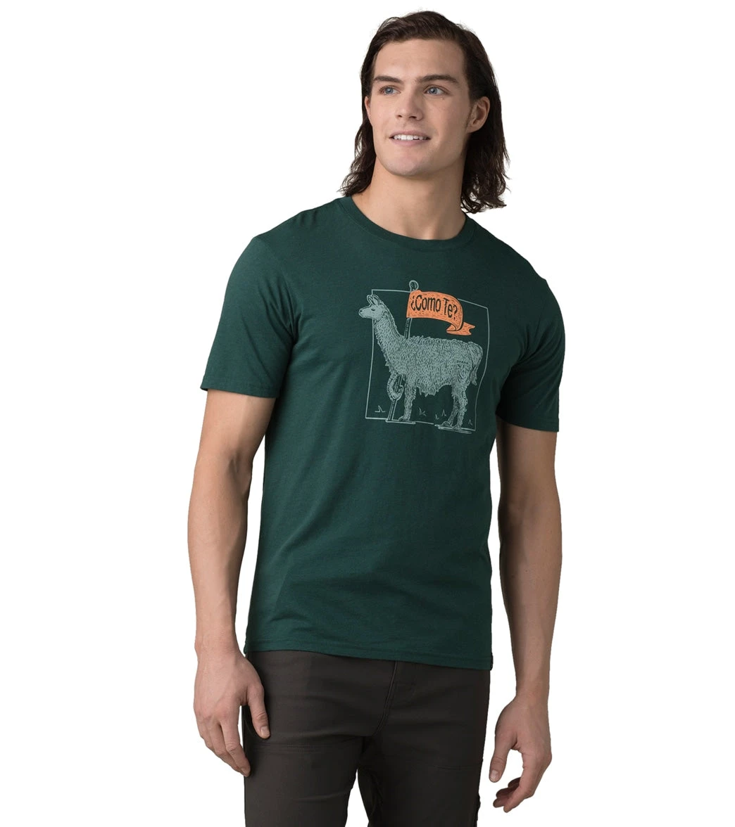 PrAna Como Te Llama Journeyman 2 Deep Pine Heather - Image 4